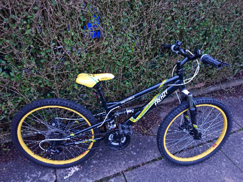 apollo frenzy junior mountain bike 24